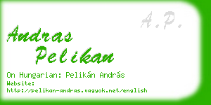 andras pelikan business card